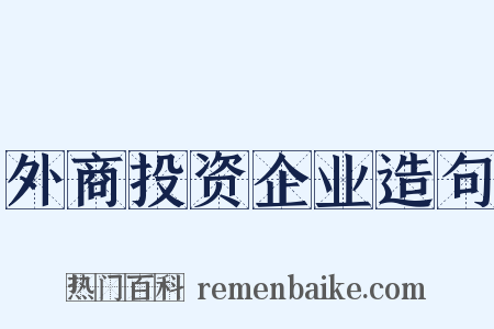 外商投资企业造句是什么意思的图片